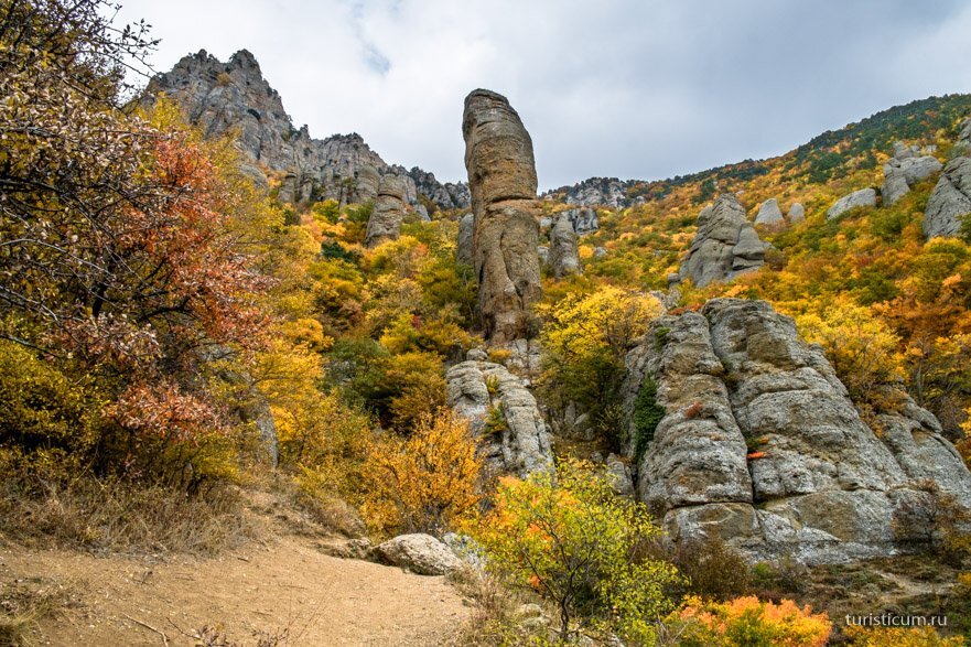 фото яндекс-картинки