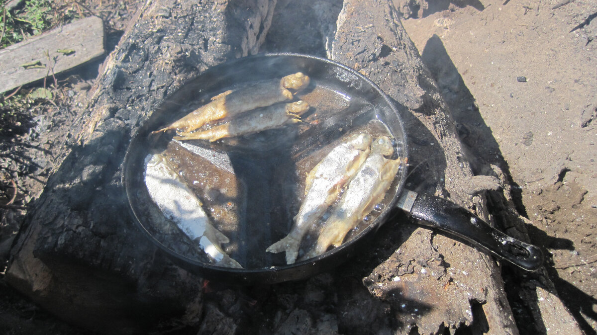 Хариус - объеденье!