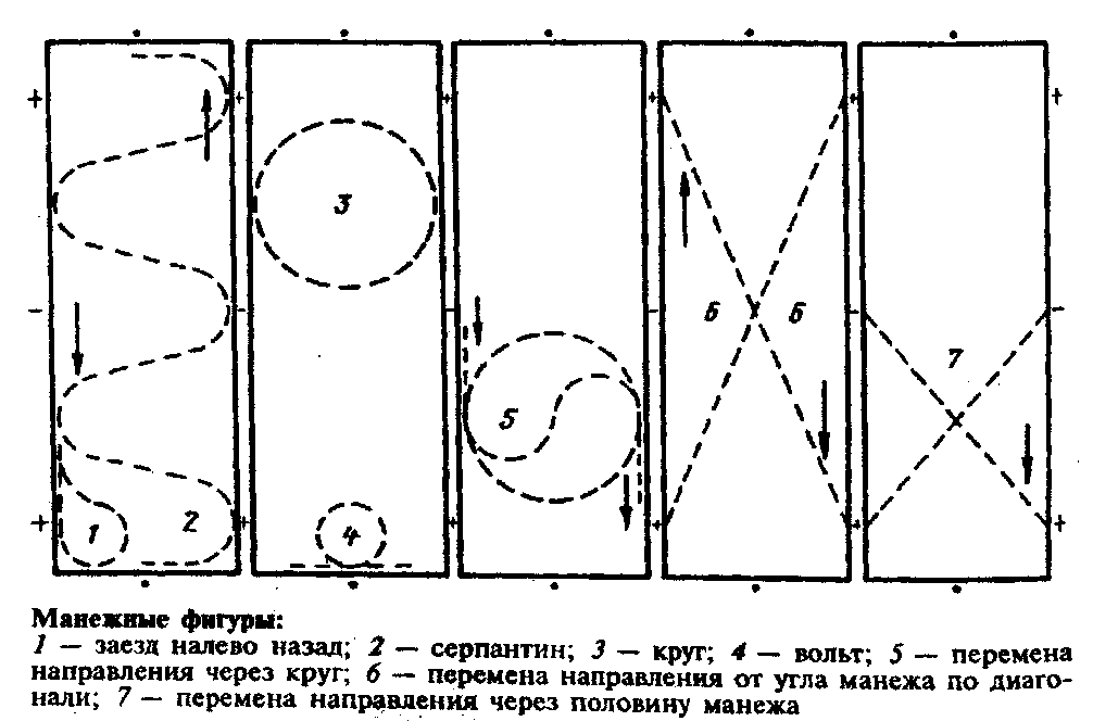 Малый приз выездка схема