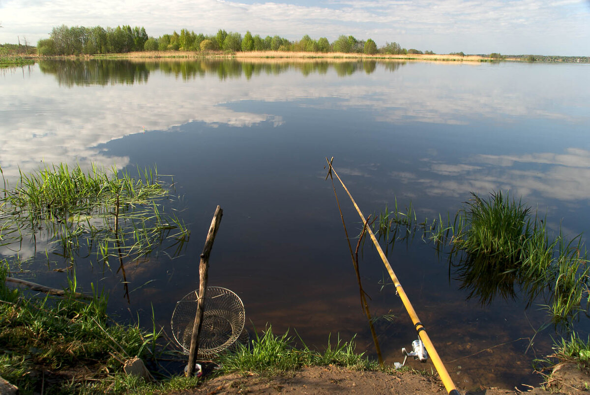 Ловись, рыбка