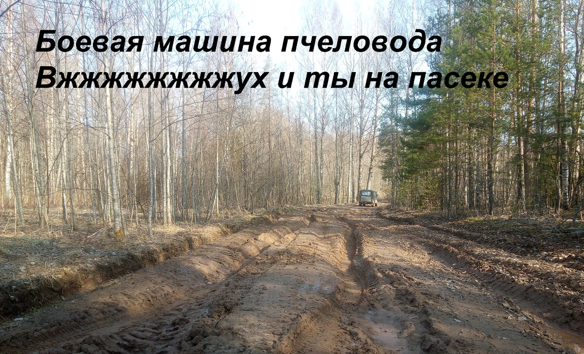 Дорога уже  высохла, почти