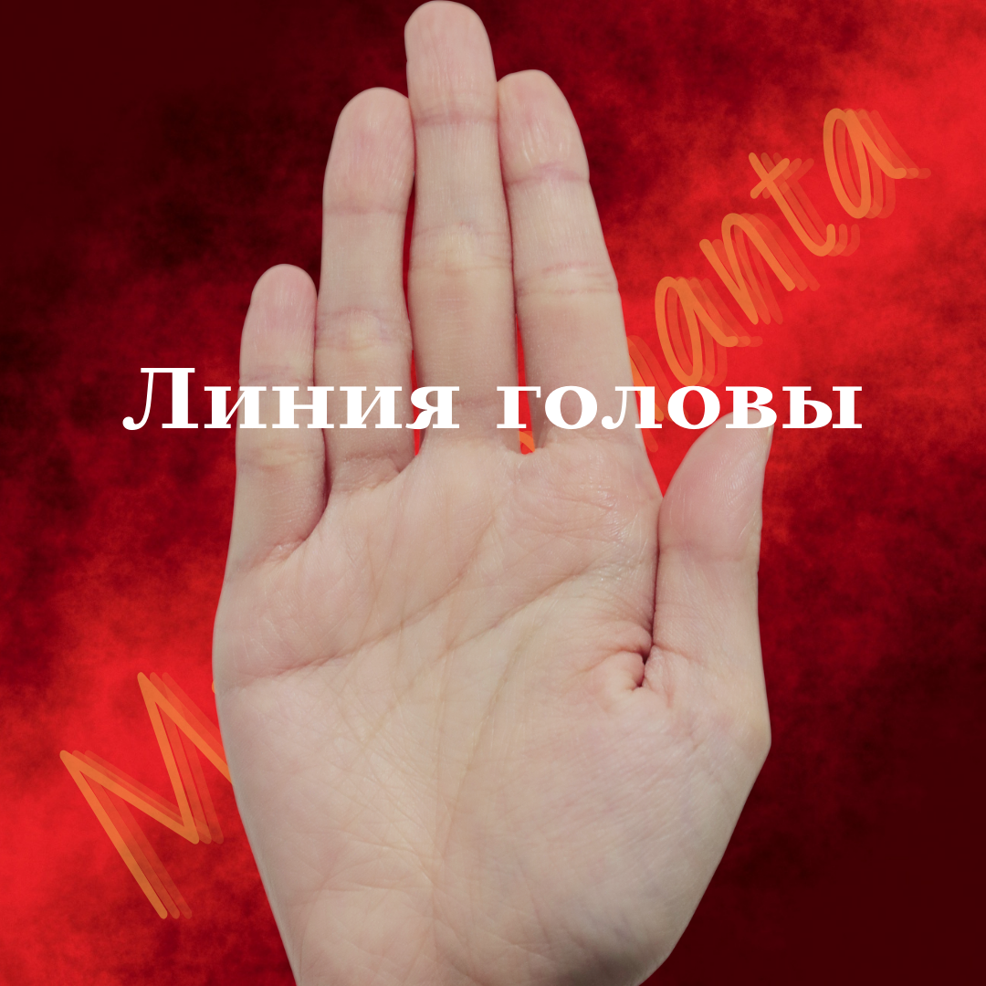 Линия головы