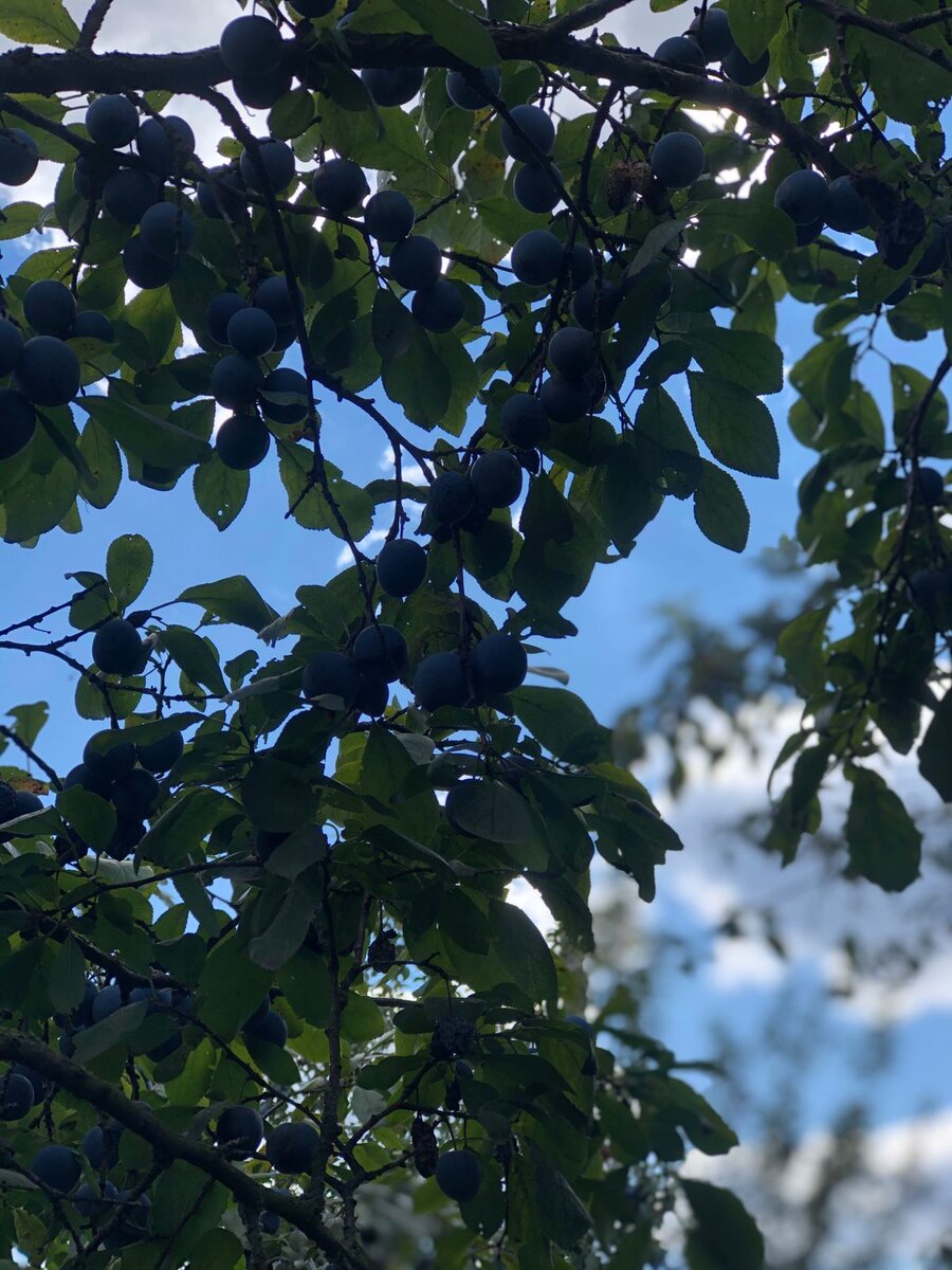 Руслан и Надя учились в одном университете.Какая красивая пара - крупный , красивый, темноглазый Руслан и хрупкая блондиночка! 