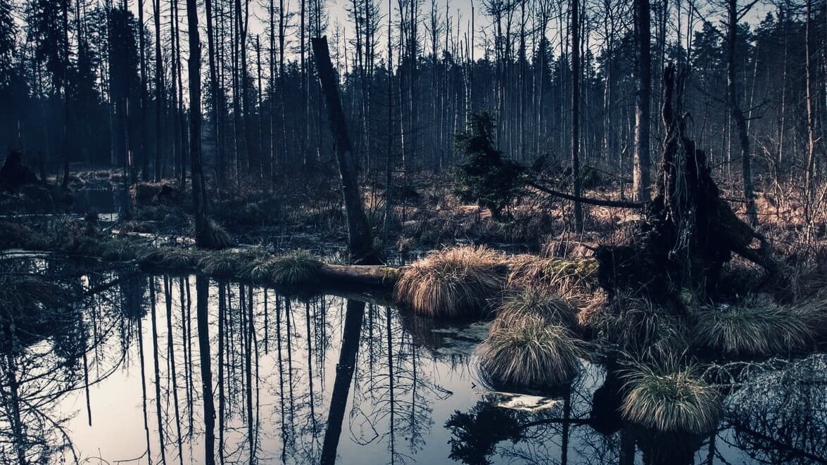 Источник Яндекс Картинки