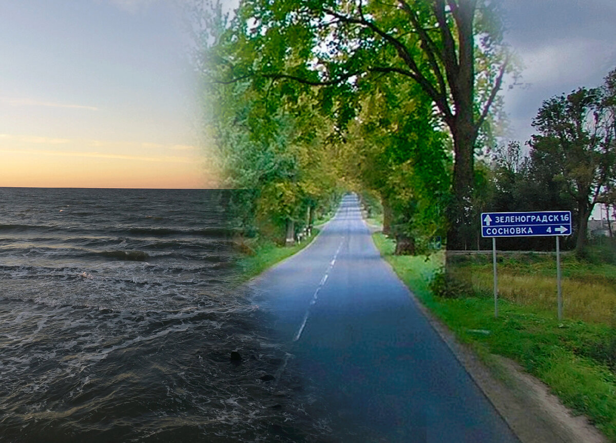 Коллаж из фото автора.