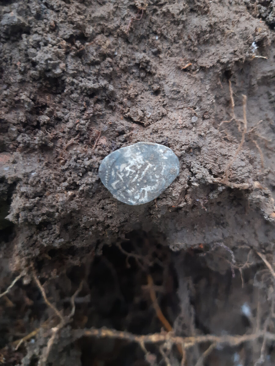 Деньга, Великий Новгород