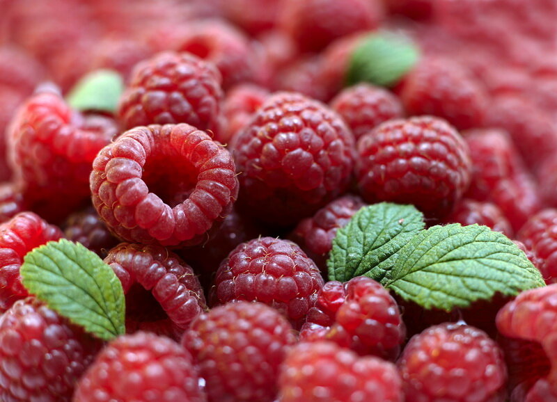 Малина Пингвин