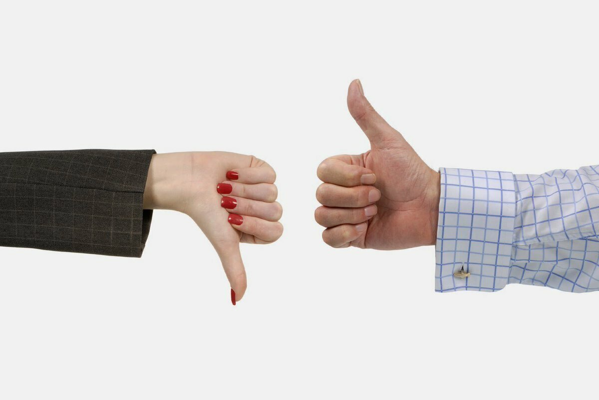 Виды критики