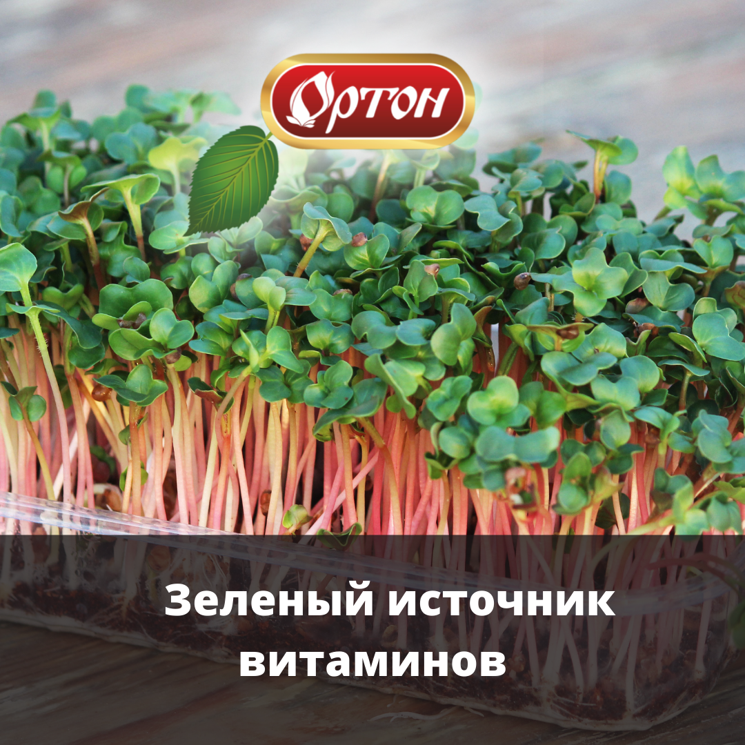 С заботой о здоровье