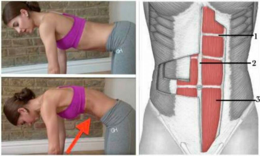 Вакуум живота