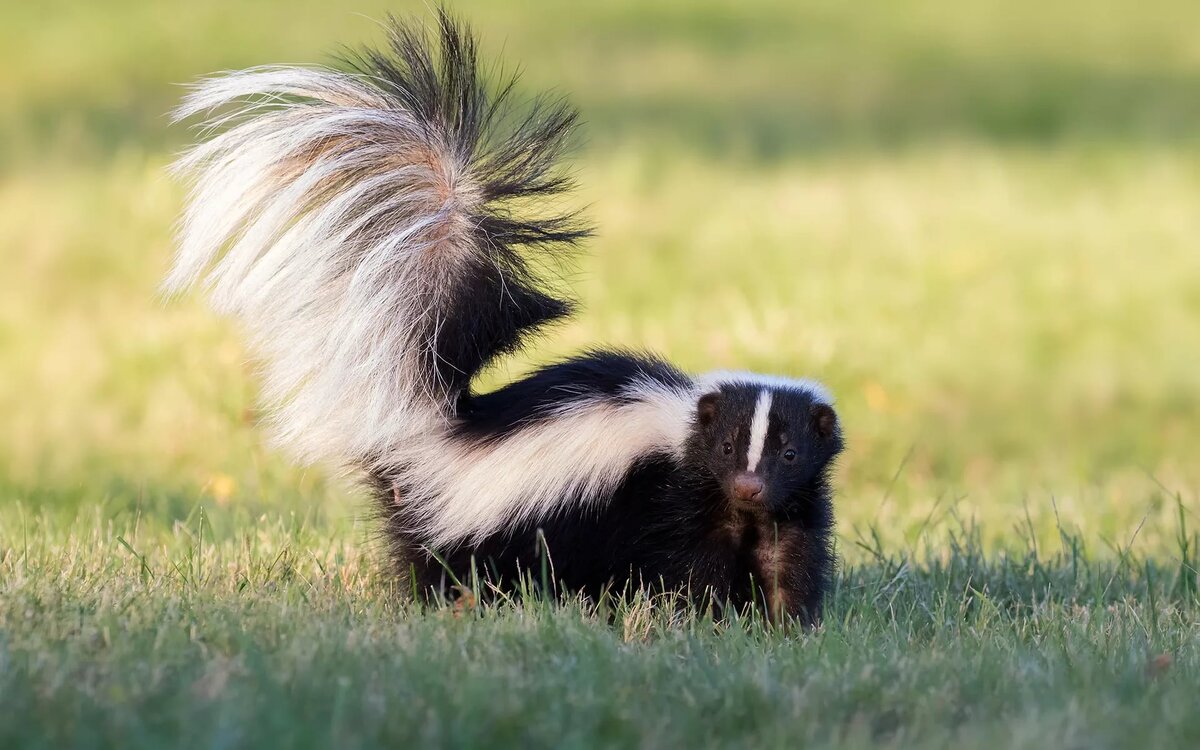 Источник: Яндекс Картинки