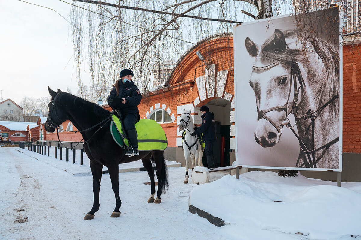 Как работает российская конная полиция (ФОТО) | Узнай Россию | Дзен