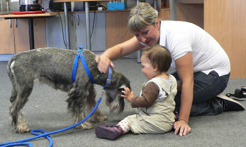 Фото: miloserdie.ru