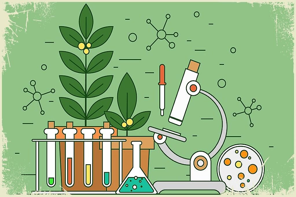 Тренажер для мозга