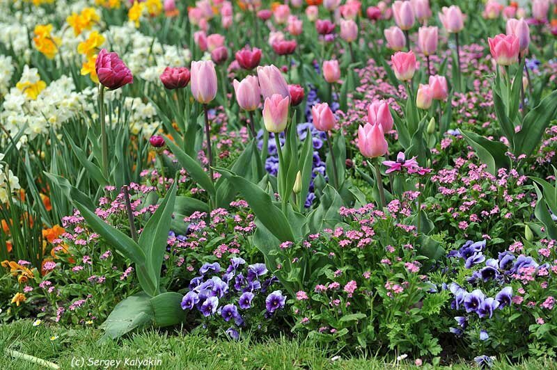 Остров Майнау