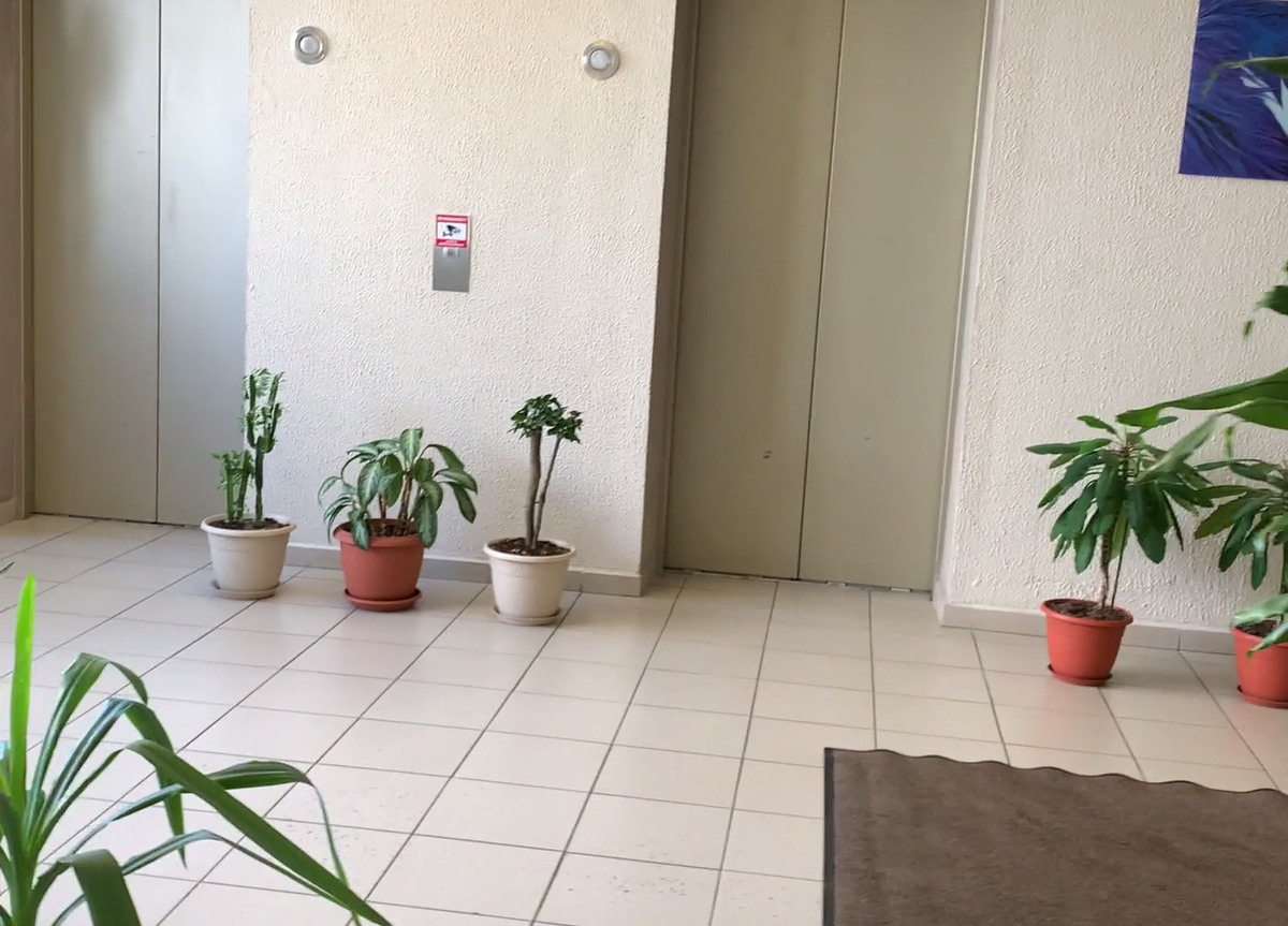 Из открытых дверей лифта тебя встречает оазис.