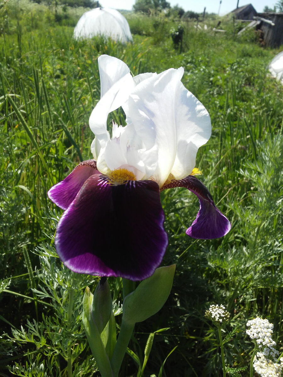 Будем смотреть на прекрасное и перенастраиваться