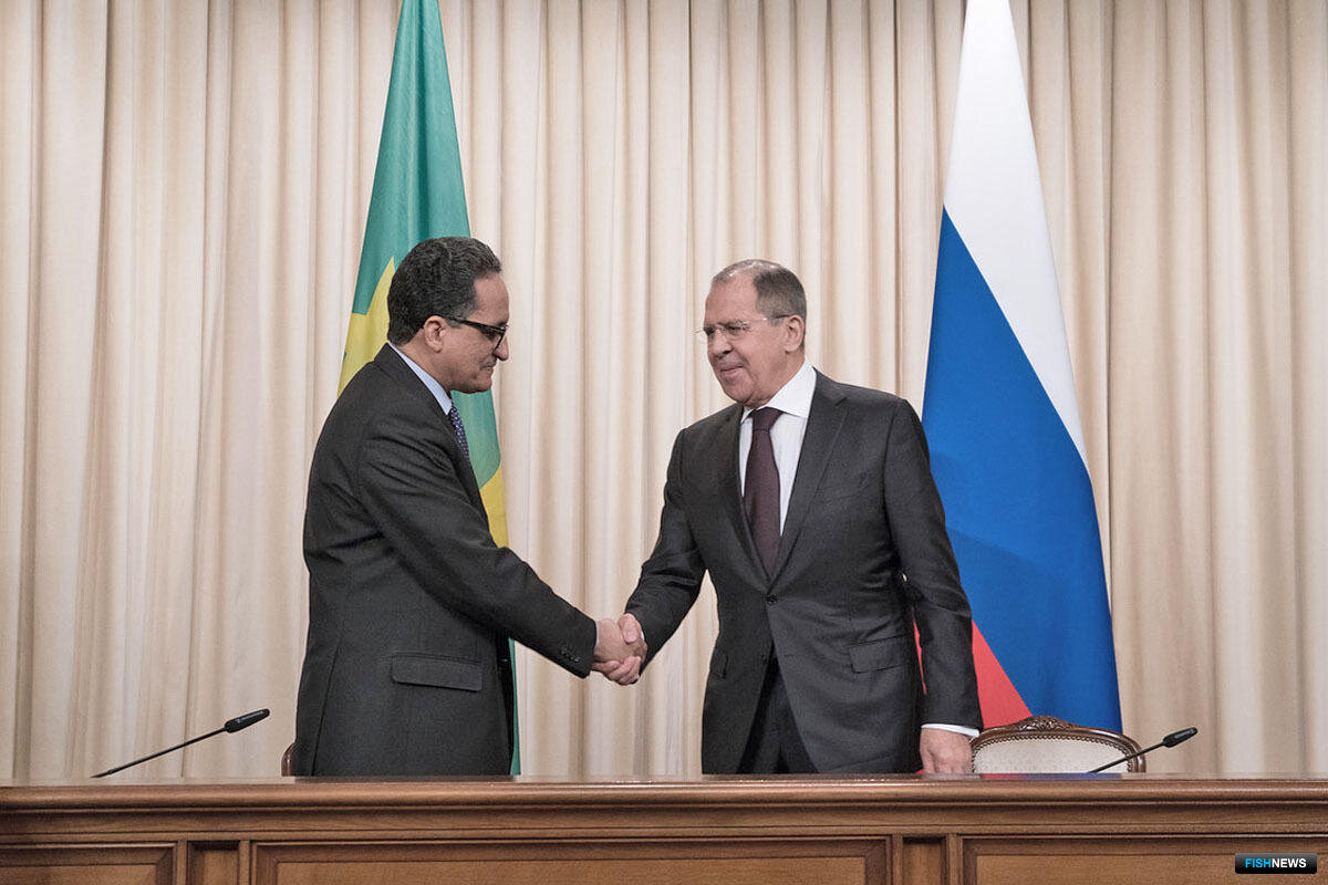 Россия – Мавритания. История и современность | Павел Густерин | Дзен