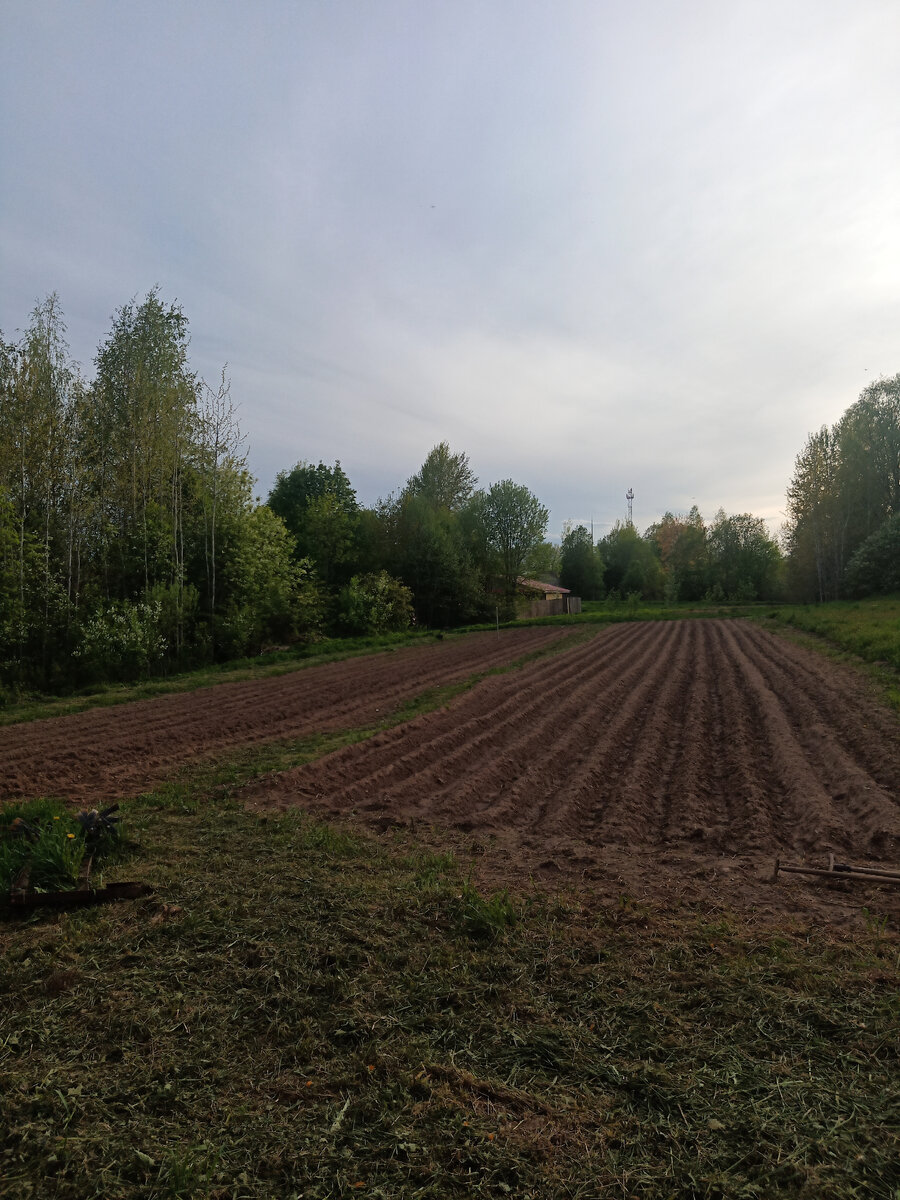 Продовольственная безопасность отдельно взятой ячейки общества.