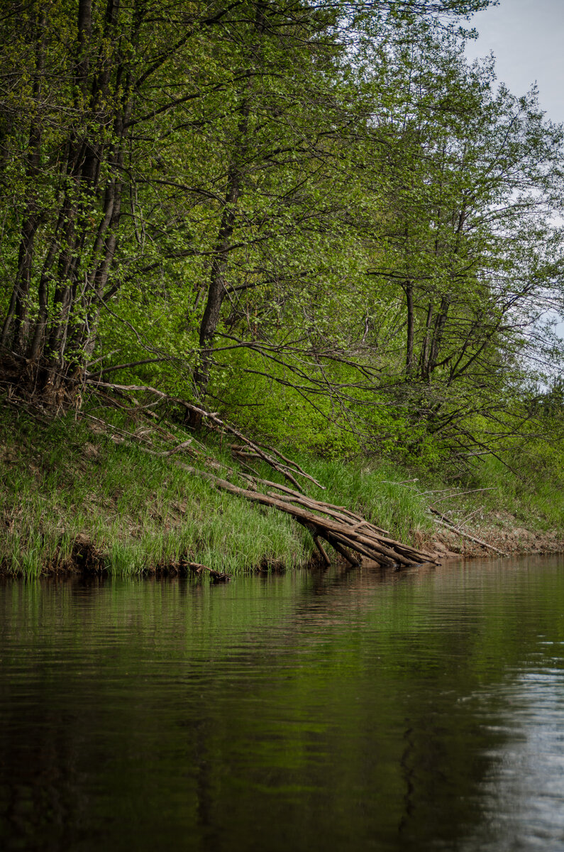 р. Большая Кокшага