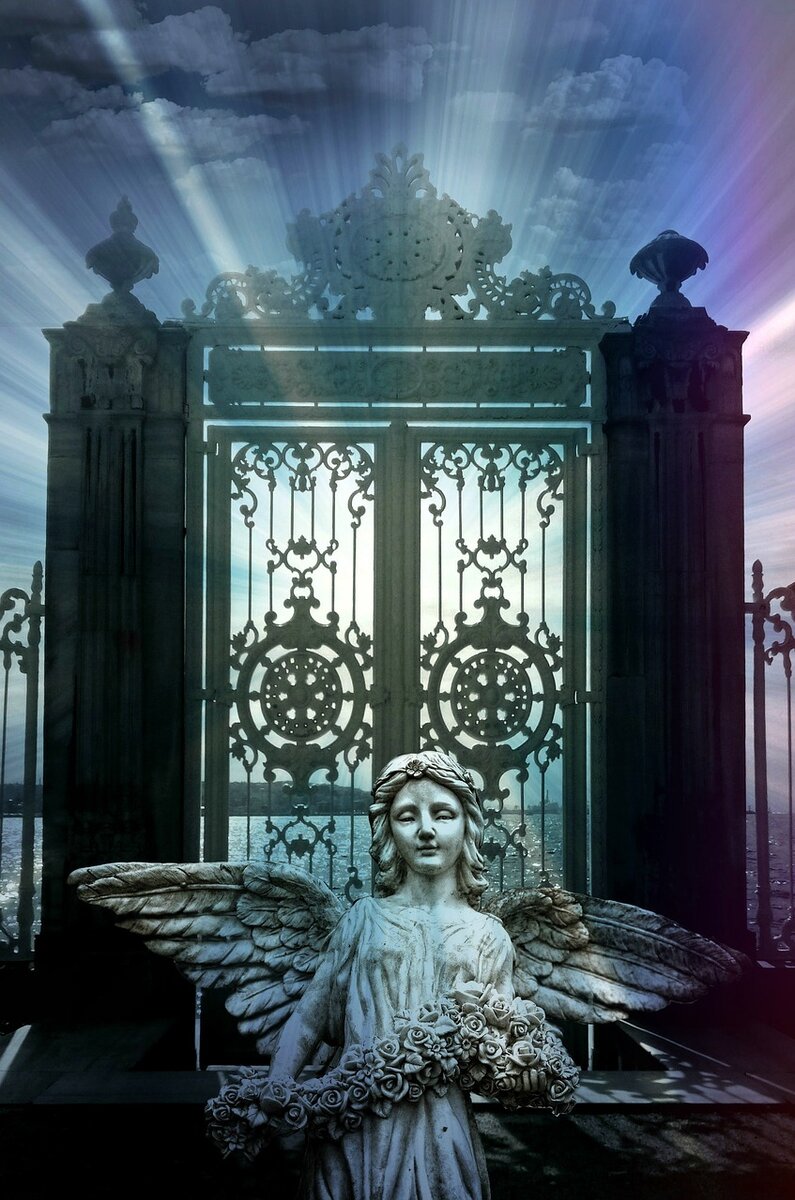 Фото с pixabay.com