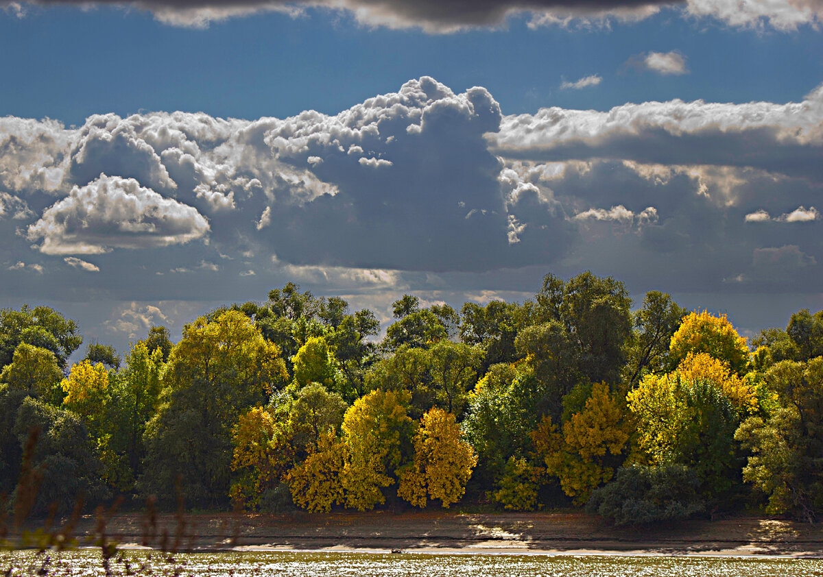 Кубань в контровом свете 