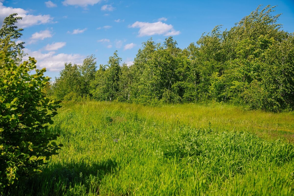 © Фото: ИД «Волгоградская правда» / Сергей Григоренко / архив
