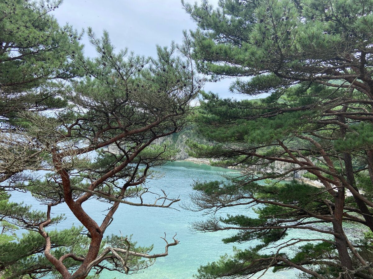 Бухта Теляковского | Личное фото