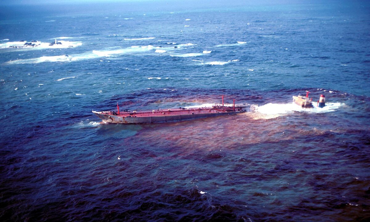 Фото с сайта: https://www.vladtime.ru/uploads/posts/2016-08/1470546848_5.jpg