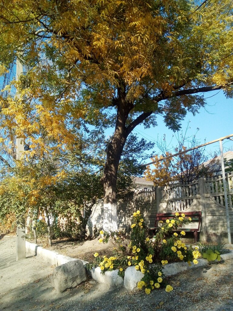 Такой вот ноябрь. Фото автора канала