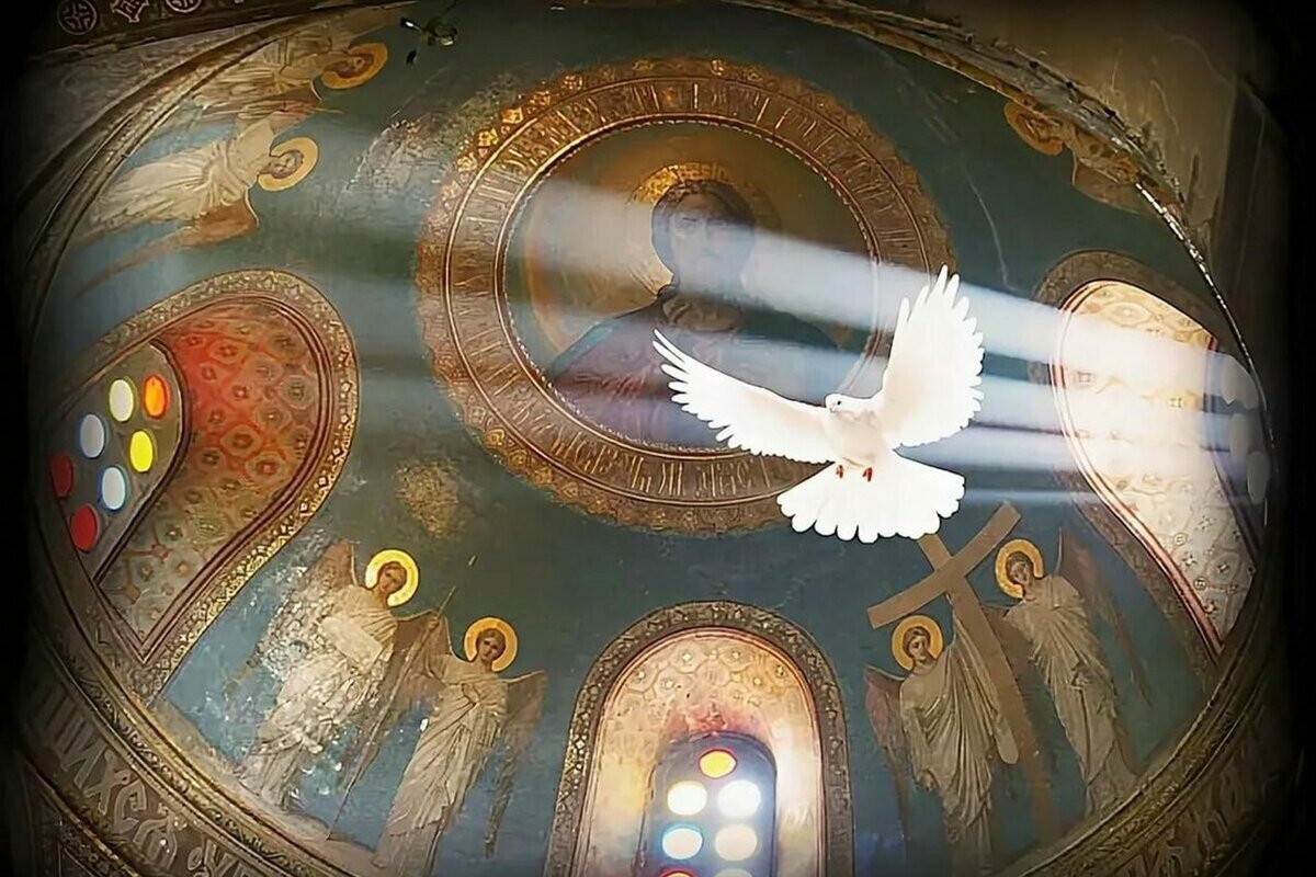 источник картинки интернет https://avatars.dzeninfra.ru/get-zen_doc/4872899/pub_62d649e49b5a844188cb7175_62d64a3e7b2d120d36d0a7bf/scale_1200