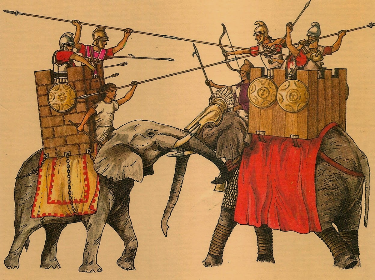 Вооружение животных. Вооружение животных. Собака с оружием. Енот ракета с пушкой. Животные с оружием прикол.