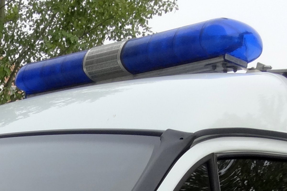   В Сириусе задержали приезжего косплеера с саблей