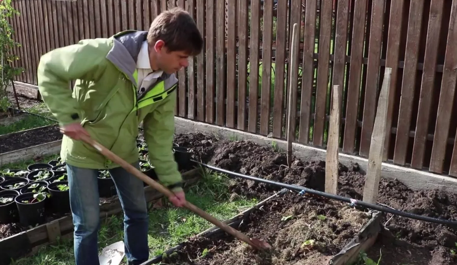 Фотография взята из источника gymnasia2.ru 