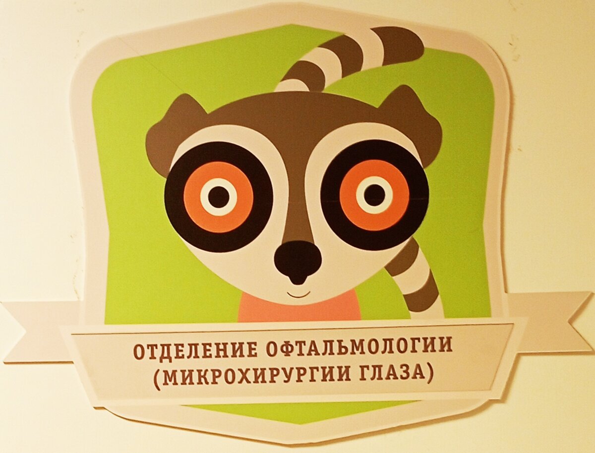 Вот такой забавный енот встречает вас при входе в отделение. Фото автора.