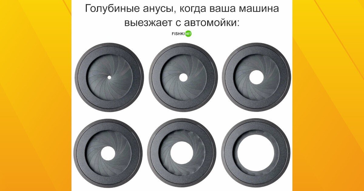 Источник: userapi.com
