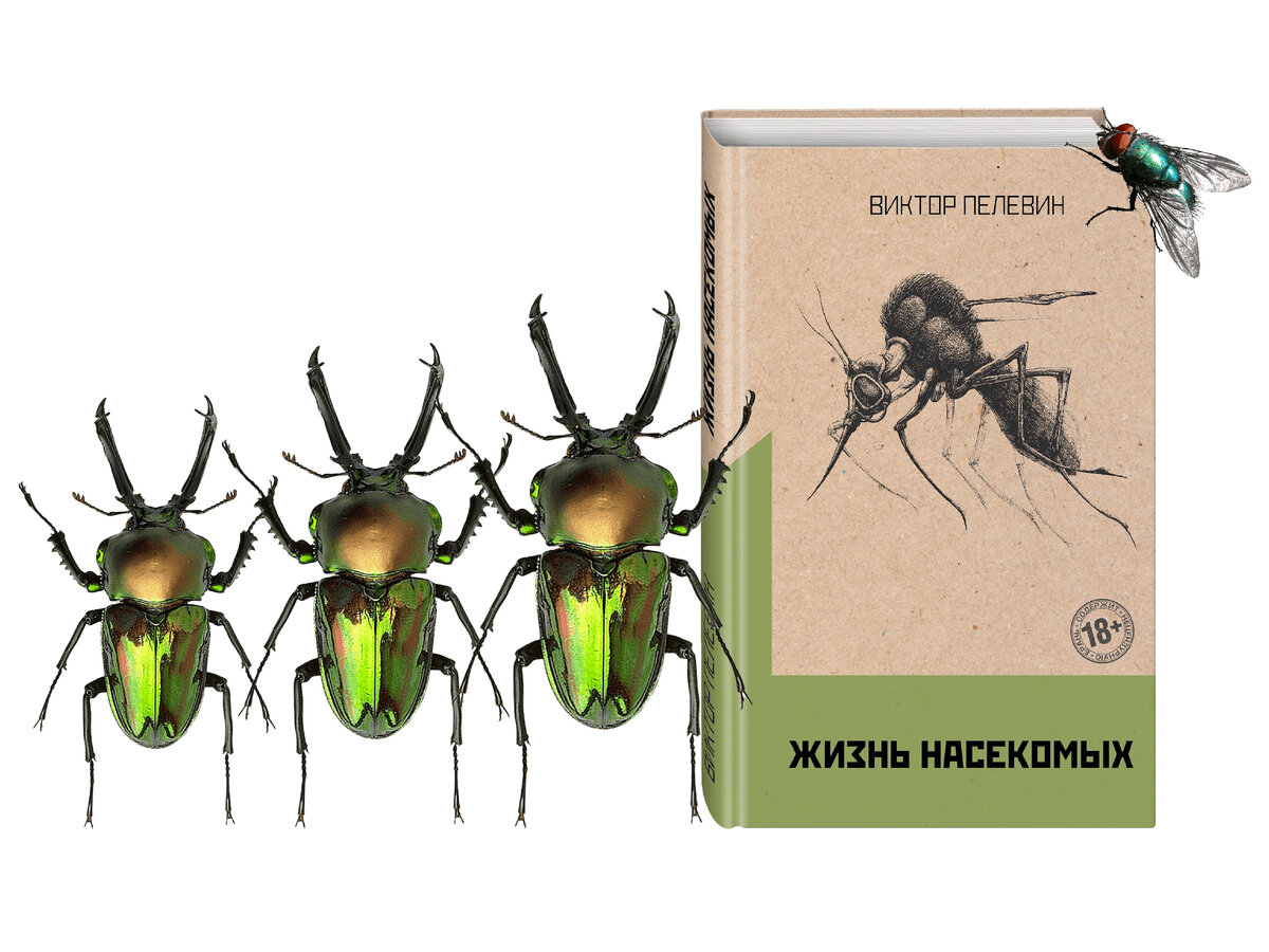 Слушать аудиокнигу жизнь насекомых пелевин