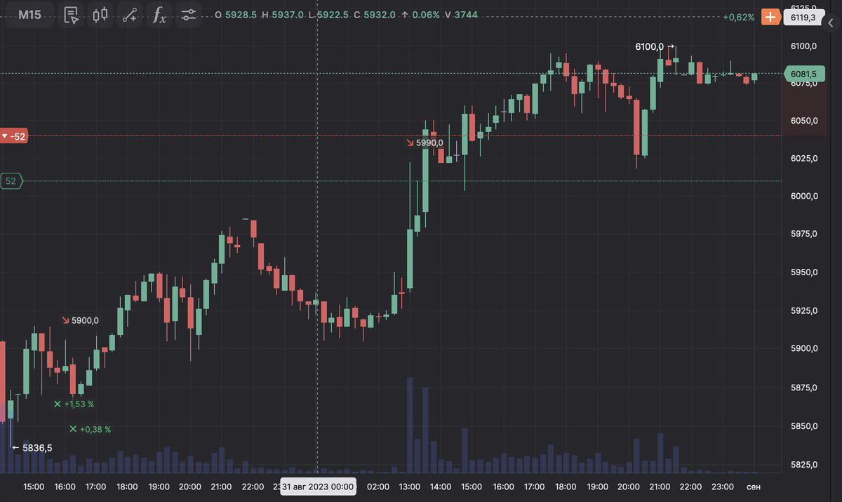 Кривая роста акции Магнит