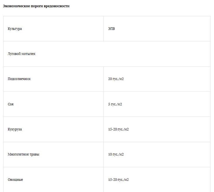    Рекомендации по борьбе с луговым мотыльком и хлопковой совкой от экспертов Волгоградского Россельхозцентра