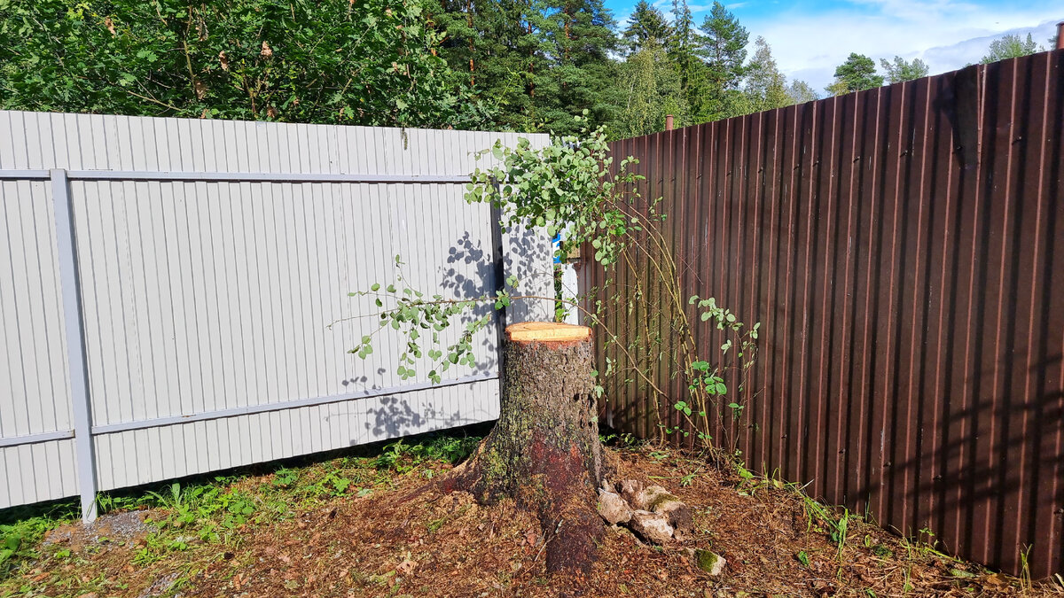 память о соседях