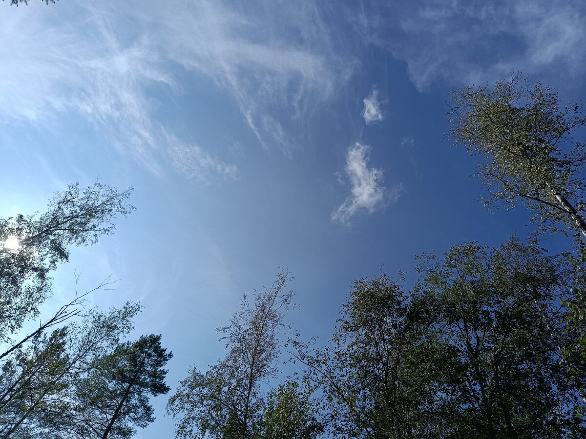 Фото из личного архива автора 