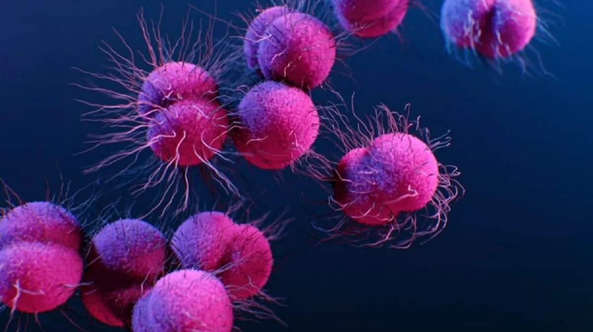 Фото: hightech.fm