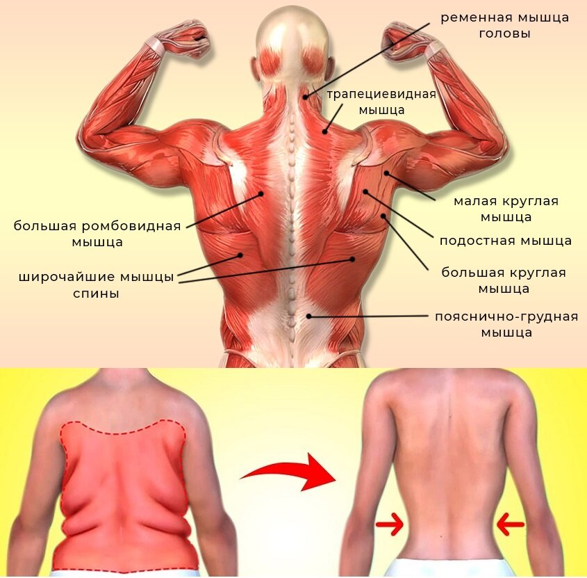 Складки подмышками