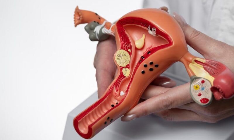 Фото freepik.com