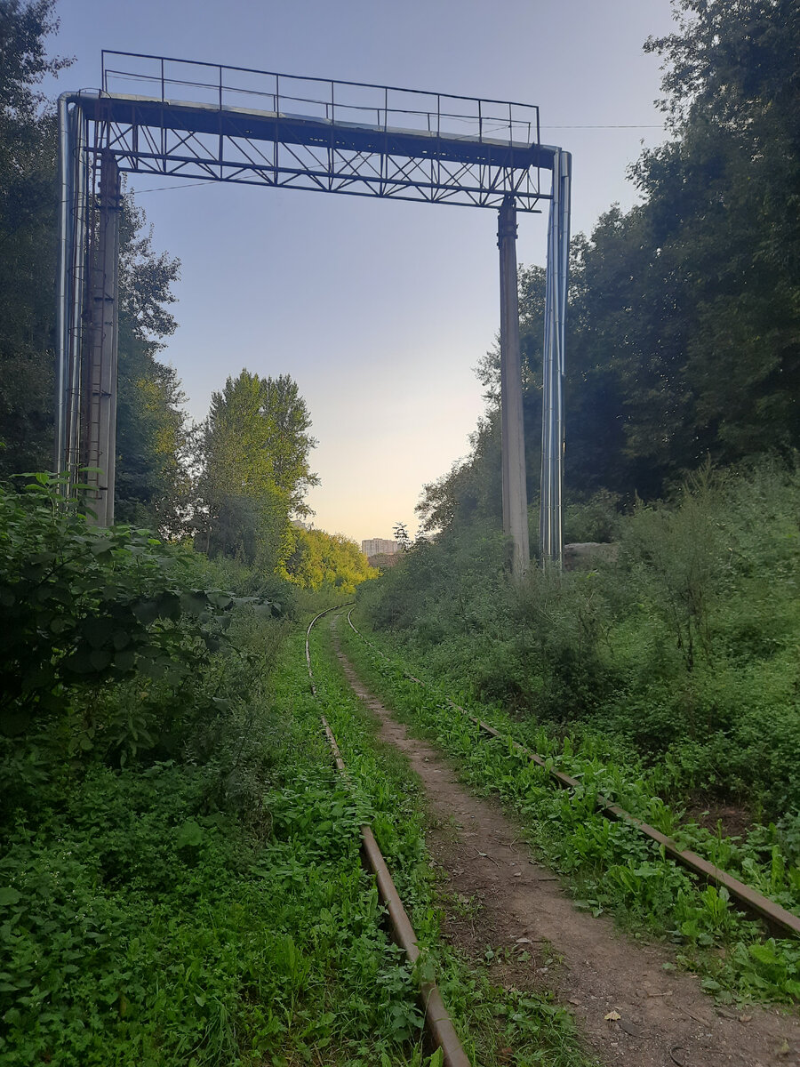 Фото автора. Просто для иллюстрации