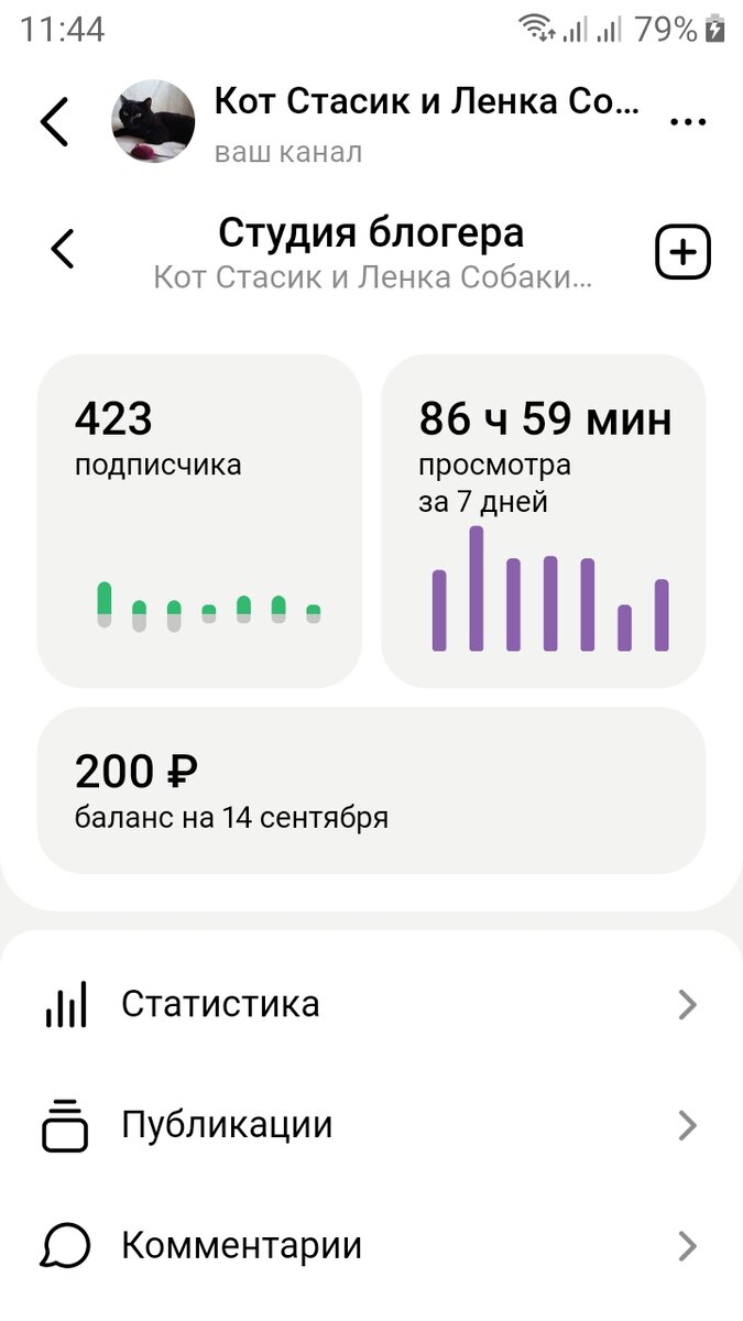 Скриншот автора 