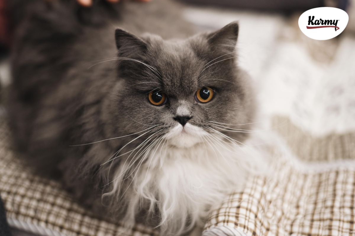 Авторское изображение с использованием картинки с фотостока "Unsplash"