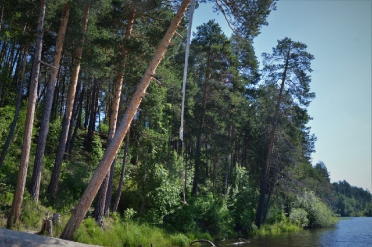    На тропе появились две смотровые площадки с двумя стационарными биноклями.