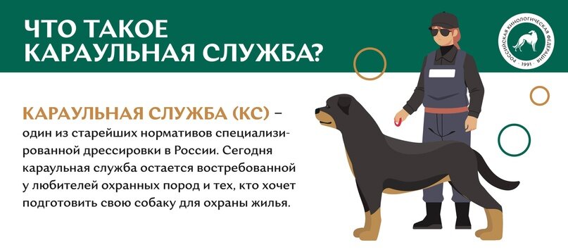 Что такое караульная служба