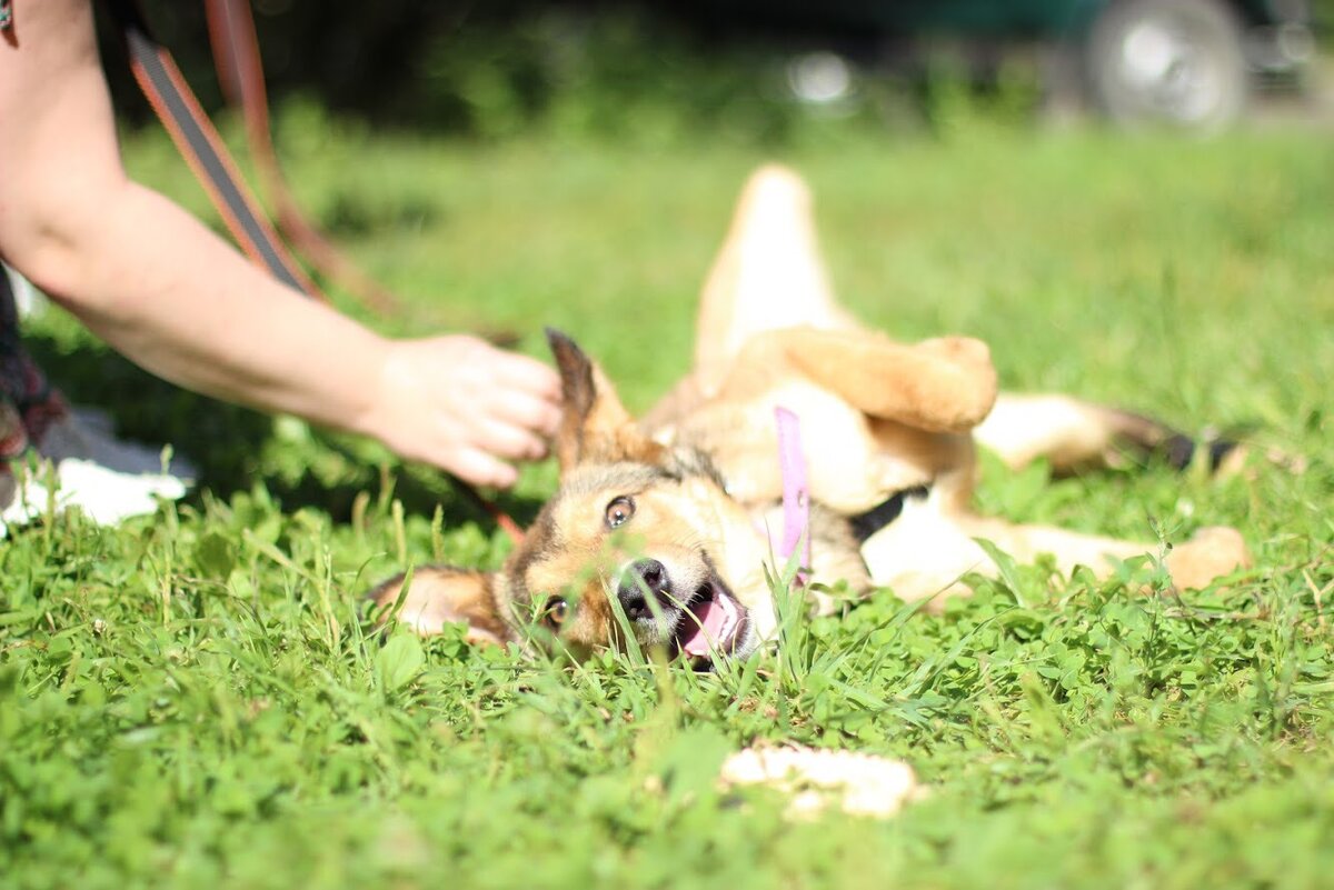 Мы живем в загородном доме рядом с лесом и "заклещеванность" местности у нас, конечно же, выше чем в городе. 